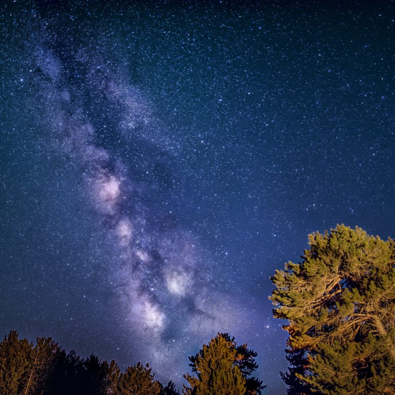 Milky Way, on clear night sky, forest